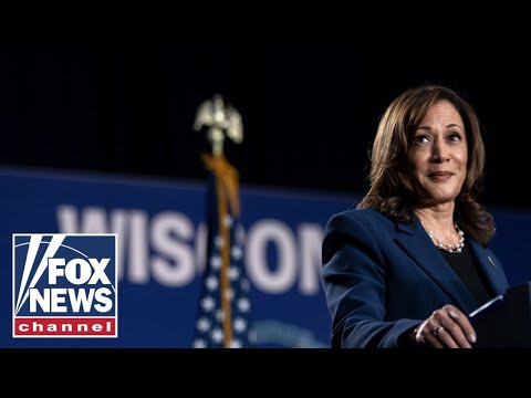 Enthusiasm for Kamala Harris is ‘not going to mean much’ come November: GOP lawmaker