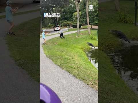 A man visiting Hilton Head, South Carolina, captured moment a fisherman was charged by an alligator 1 A man visiting Hilton Head, South Carolina, captured moment a fisherman was charged by an alligator