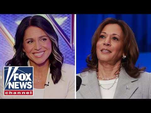 Tulsi Gabbard: Kamala's campaign handlers are worried 6 Tulsi Gabbard: Kamala's campaign handlers are worried
