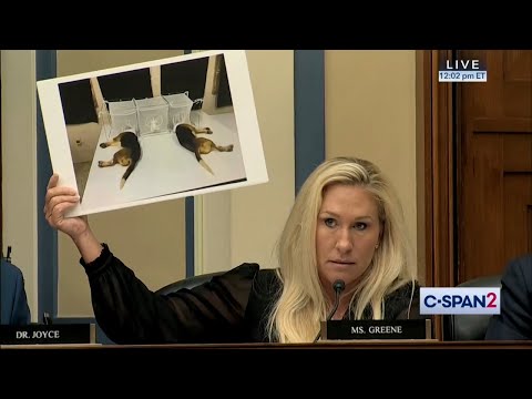 MTG Goes NUCLEAR on Dr. Fauci as House Hearing Goes OFF THE RAILS 3 MTG Goes NUCLEAR on Dr. Fauci as House Hearing Goes OFF THE RAILS