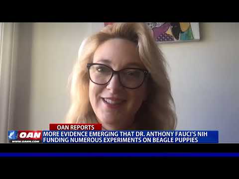 Beagle Freedom Project's Shannon Keith on One America News Network