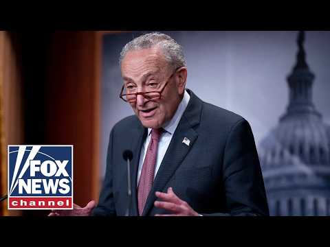 Schumer called out for 'petty' move targeting incoming Republican senator