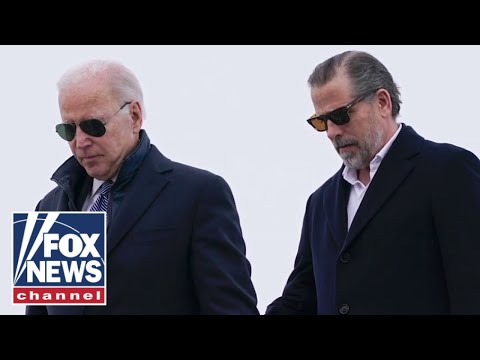 ‘CAN’T REWRITE HISTORY’: Judge slams Hunter pardon