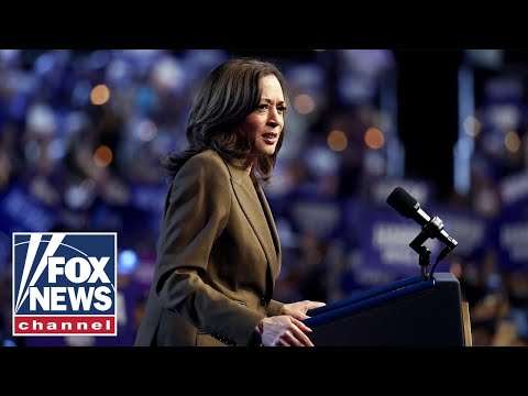 New details revealed on how Kamala Harris fumbled key media strategy