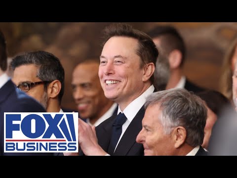 Panelist says Democrats are making a massive miscalculation: Musk is more popular