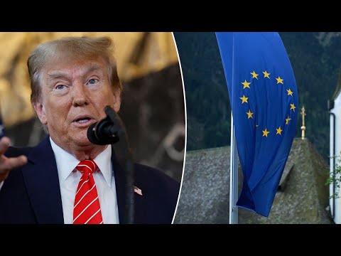 EU offers 'zero-for-zero' tariffs with US as countries 'line up' to begin negotiations