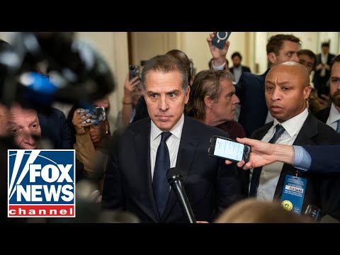 Hunter Biden’s ‘fall guy’ speaks out after Trump commutes his sentence
