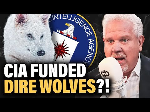 Extinct Wolf Species Brought Back to Life — Did the CIA Fund It?