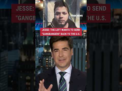 Jesse: The left wants to send "gangbangers" back to the U.S. #shorts #foxnews #fox #news  #trump