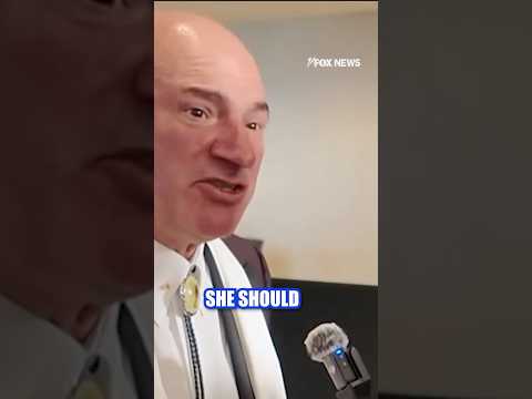 Mr. Wonderful says AOC should start a T-shirt company #shorts #foxnews #news #politics #us