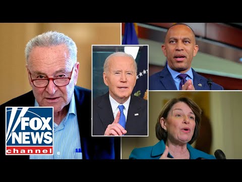 Dem leaders called to resign over Biden cover-up