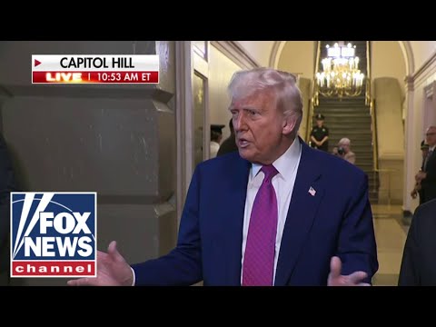 Trump scolds reporter for suggesting he's 'losing patience'