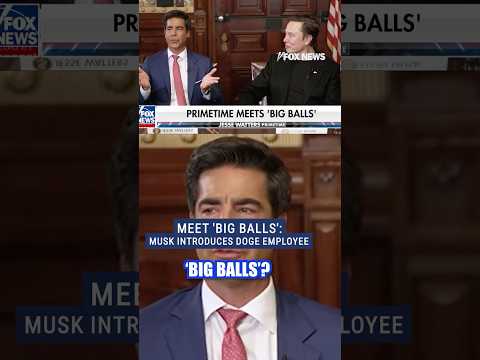 Why this DOGE employee goes by 'big balls' #funny #elonmusk #doge #trump #foxnews #news #shorts