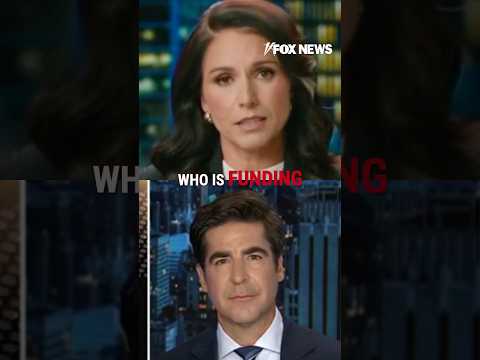 Gabbard: Dems are insulting Americans #shorts #foxnews #news #usa #fox #trump #riots #protests