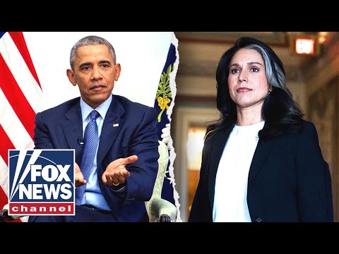 ‘ABSURD’: Democrats roasted for hypocrisy on Russia hoax