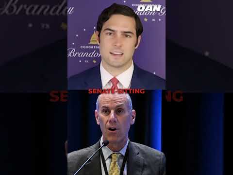 Articles of impeachment were formally introduced against Chief Judge James Boasberg