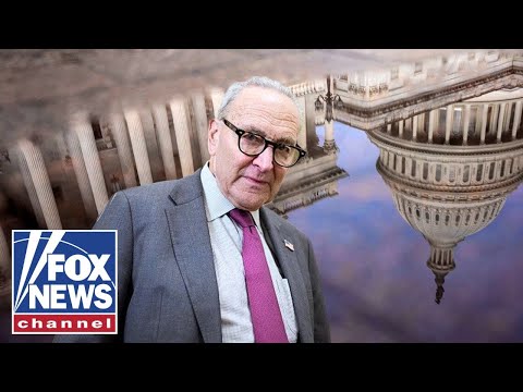 'ASTONISHING': Schumer faces REVOLT after shutdown deal