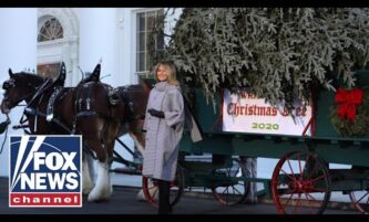 First lady Melania Trump welcomes White House Christmas Tree 4 First lady Melania Trump welcomes White House Christmas Tree