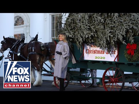 First lady Melania Trump welcomes White House Christmas Tree