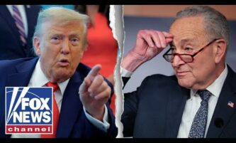 ‘What the HELL is going on?!’: Schumer RAGES at Trump 4 ‘What the HELL is going on?!’: Schumer RAGES at Trump