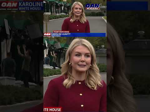 Karoline Leavitt says the looming government shutdown rests on Democrats