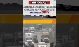 Newsom WARNED after delaying migrant CDL cancellations #us #newsom #shorts #foxnews