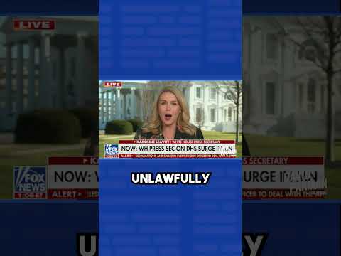 Karoline Leavitt calls Renee Good a “deranged lunatic” on Fox News #shorts