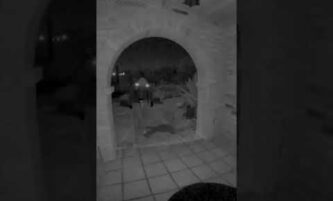 Patel shares a video of an individual approaching Nancy Guthrie’s front door
