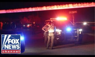 Forensic expert reveals why she believes 'REVENGE' could be behind Guthrie case