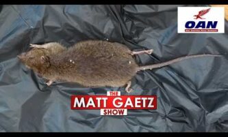 IDAHO SUBURB FACES 'RAT APOCALYPSE'