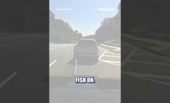 Police use GRAPPLING HOOK to end car chase #foxnews #news