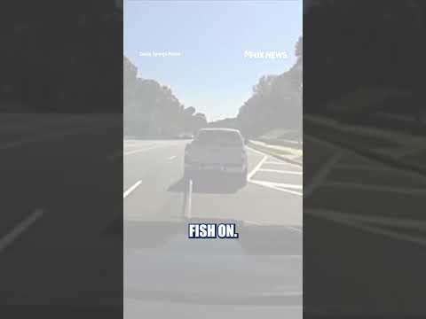 Police use GRAPPLING HOOK to end car chase #foxnews #news