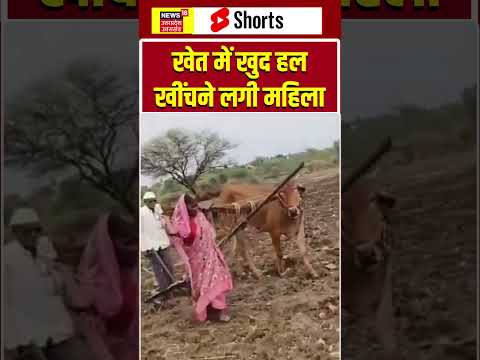 Woman farmer viral video: खेत में खुद हल खींचने लगी महिला | #shorts