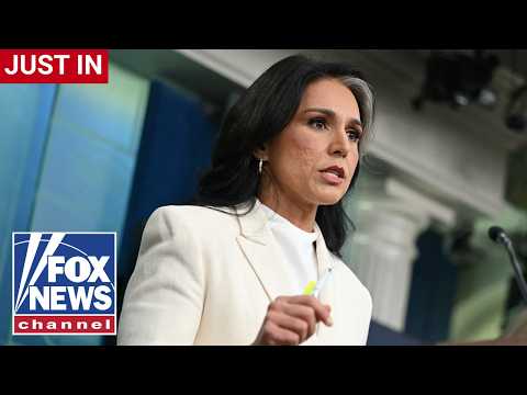 JUST IN: Tulsi Gabbard drops BOMBSHELL allegation against Fauci