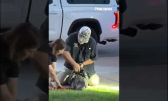 GIANT ALLIGATOR causes neighborhood CHAOS#foxnews #news #us #fox 2 GIANT ALLIGATOR causes neighborhood CHAOS#foxnews #news #us #fox
