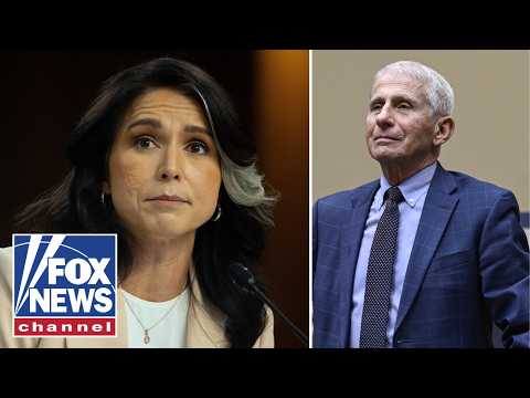 COVER UP?: Dr Fauci 'abused power to the HIGHEST LEVEL,' Gabbard alleges
