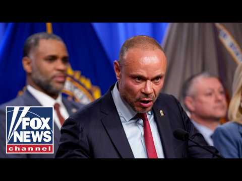Dan Bongino: What a CLOWN SHOW!