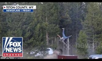 SHOCKING video: Bison sends tourist FLYING at Yellowstone National Park 2 SHOCKING video: Bison sends tourist FLYING at Yellowstone National Park