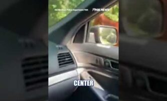 WATCH: Horse takes police on WILD roadside chase #shorts #foxnews #us #news