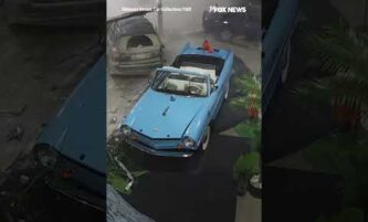 WATCH: Vehicle SLAMS into classic car collection #shorts #foxnews #fox #news 3 WATCH: Vehicle SLAMS into classic car collection #shorts #foxnews #fox #news