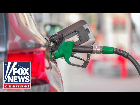 Lee Zeldin outlines plans to lower record-high diesel prices