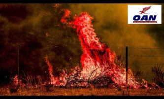 PRES TRUMP TAKES A CHAINSAW TO WILDFIRE RED TAPE 2 PRES TRUMP TAKES A CHAINSAW TO WILDFIRE RED TAPE