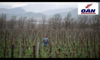 South Africans Raise Concerns Over Farm Attacks at Washington Conference 4 South Africans Raise Concerns Over Farm Attacks at Washington Conference