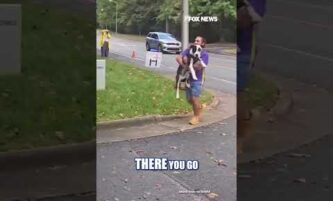 Rescue dog carried across finish line after refusing to complete 5k #shorts